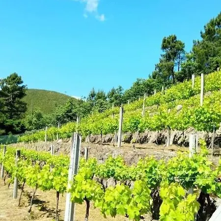Quinta Do Sol Baiao *