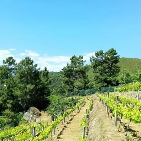 Quinta Do Sol Baiao * Santa Cruz do Douro