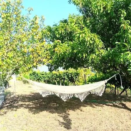Holiday home Quinta Do Sol Baiao