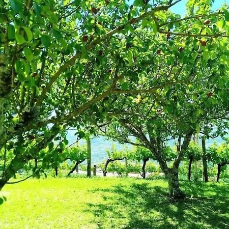 Quinta Do Sol Baiao